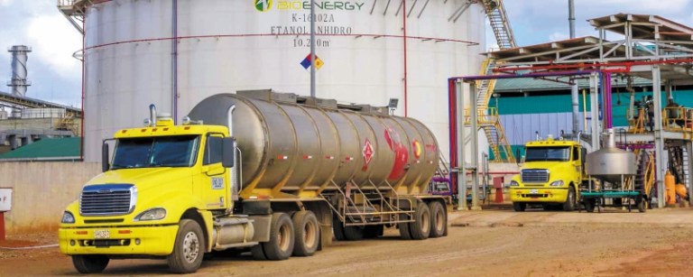 Los impactos ambientales de liquidar Bioenergy en los que nadie piensa