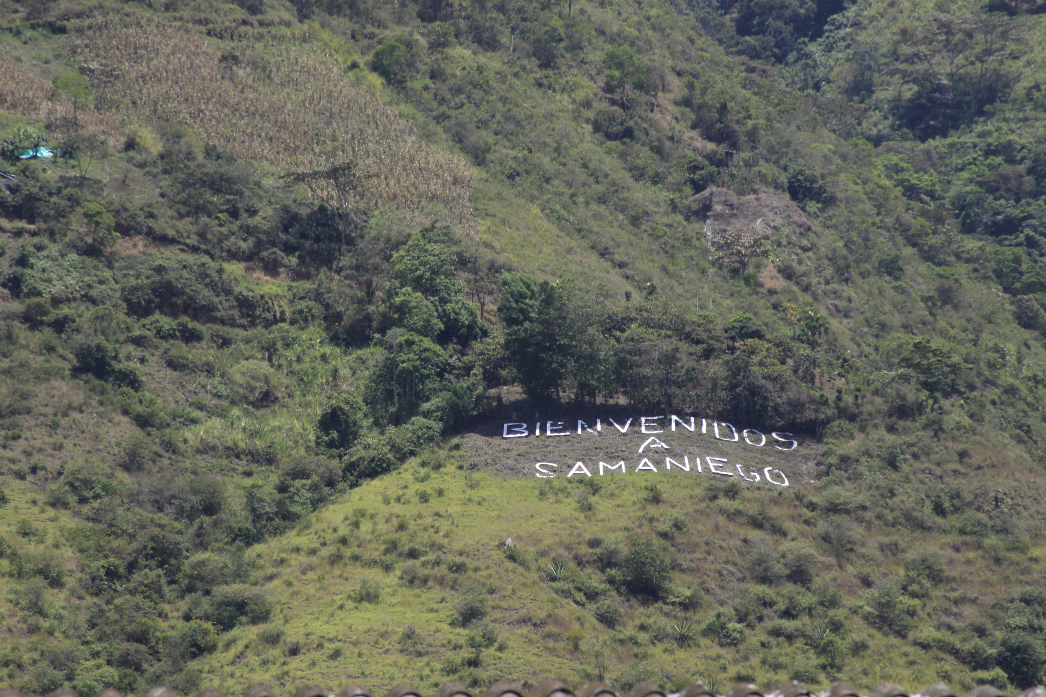 Samaniego, Nariño