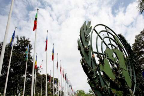 7.000 universidades se unen a la acción contra la crisis climática