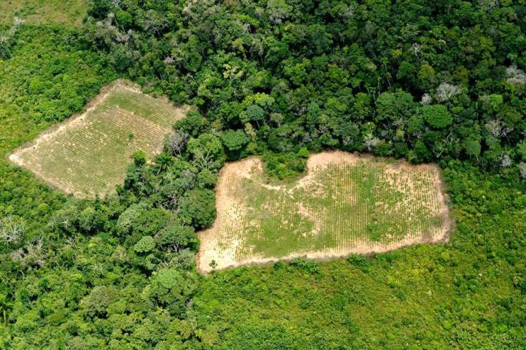 “Colombia es la punta de la lucha contra el narcotráfico”