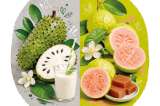 Guayaba y guanábana: propiedades y recetas para aprovechar estas frutas colombianas
