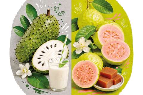 Guayaba y guanábana: propiedades y recetas para aprovechar estas frutas colombianas