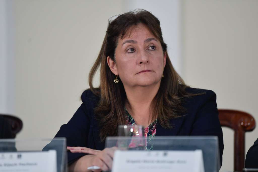 Ministra de Justicia durante la radicación de la reforma a la justicia en el Congreso de la República
