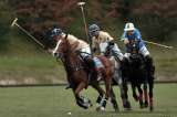 Copa Polo El Espectador