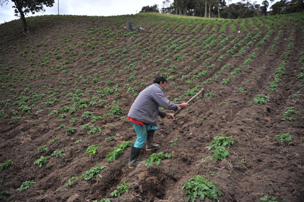 Localidad de Bogotá que fue declarada reserva campesina, diferentes aspectos: Cultivos, habitantes, páramo.