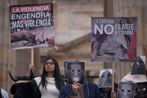 Velatón en contra de las corridas de toros en Bogotá y municipios aledaños