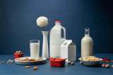 ¿Cuál es la diferencia entre leche entera, descremada, deslactosada y cuál escoger?