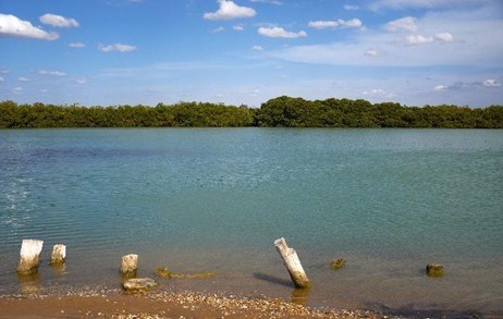 Masacrada por el olvido, comunidad wayúu de Bahía Portete se resiste a desaparecer