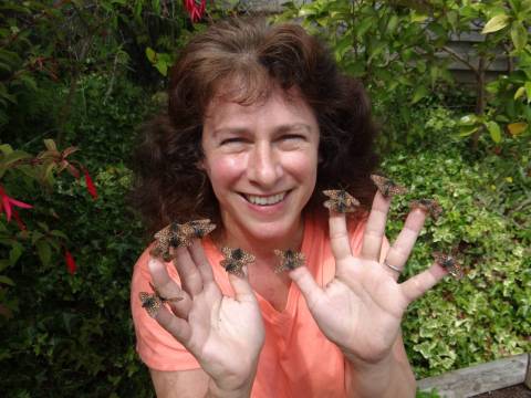 Premio a la científica que probó cómo el cambio climático afecta a los animales