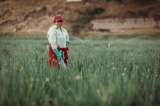 Mujeres rurales emprendedoras: así es la convocatoria que cofinancia sus proyectos