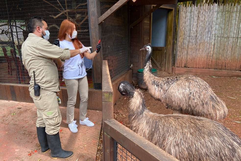 Zoológico de Cali