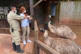 Así avanza la apertura de zoológicos en medio de la pandemia