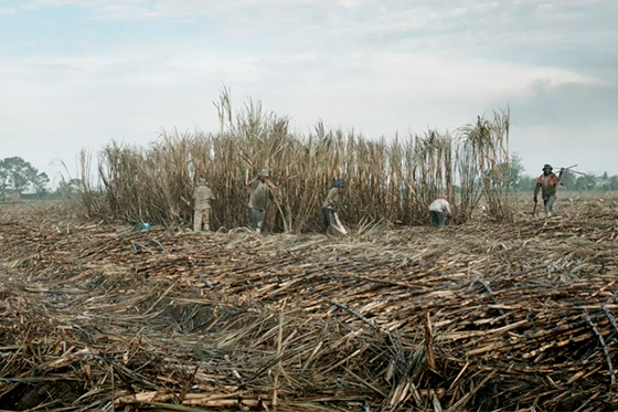 Imagen de la película "La tierra y la sombra". / Cortesía