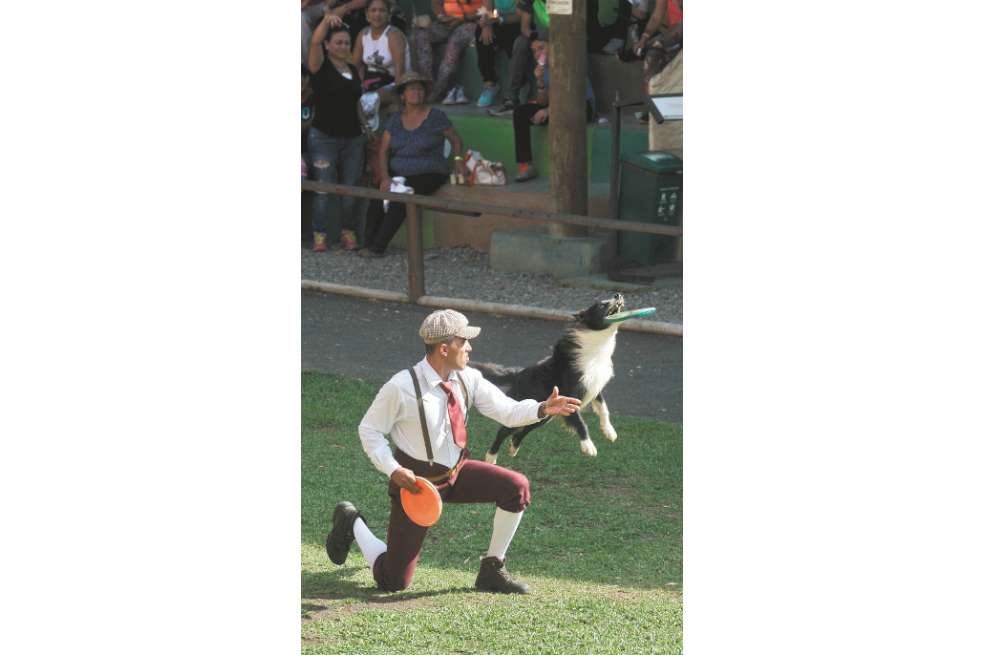 Espectáculos con caballos, perros y hasta cerdos miniatura sorprenden a los visitantes del parque. / Óscar Pérez-El Espectador.