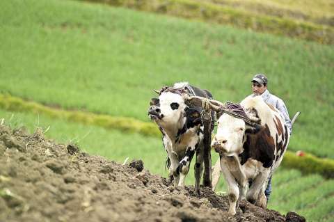Agricultores, preocupados por la reforma tributaria