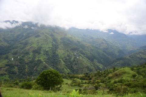 Combates entre Ejército y Clan del Golfo en Briceño, Antioquia