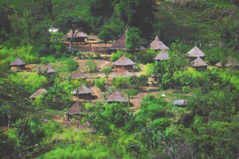 Pueblos indígenas y tribales son los mejores guardianes de los bosques: ONU