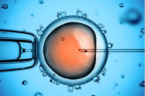 China abre investigación sobre bebés genéticamente modificados