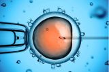 China abre investigación sobre bebés genéticamente modificados