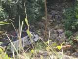 Confirman que hubo 17 muertos en el accidente de bus con estudiantes en Segovia, Antioquia