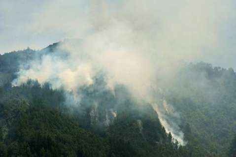Cazadores de fauna silvestre estarían provocando incendios forestales