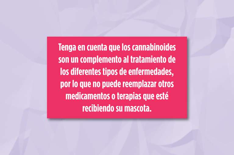 El cannabis es un complemento a los tratamientos para las diferentes enfermedades en las que puede emplearse.