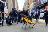 Estos robots ayudarán a la policía a patrullar las calles de Nueva York