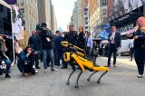 Así son los perros robot que patrullan el club Mar-a-Lago de Trump
