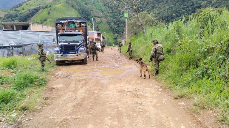 Seguridad y paz: mentiras y verdades a medias (Análisis)