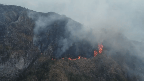 Incendio en Providencia: emergencia ambiental es alertada por la Procuraduría