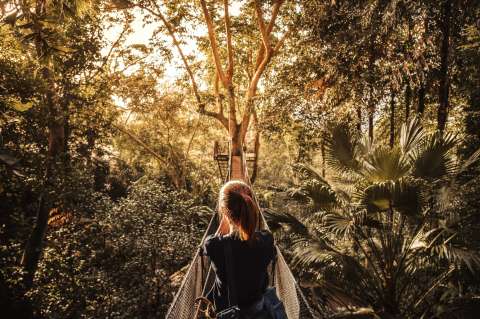 ¿Quiere viajar al Amazonas colombiano? Recomendaciones clave para su visita