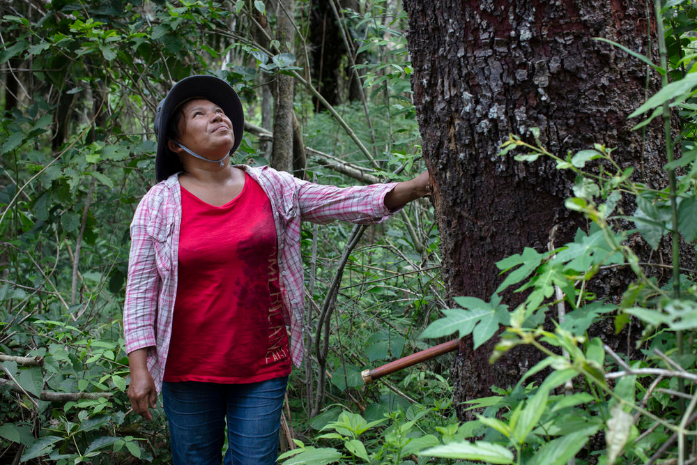 En la Amazonia viven alrededor de tres millones de personas pertenecientes a pueblos indígenas y comunidades locales.
