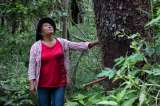 Amazonia: los retos y oportunidades de las soluciones basadas en la naturaleza