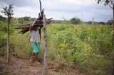 Así está reciclando el Clan del Golfo el conflicto armado en Ovejas (Sucre)