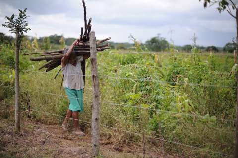 Así está reciclando el Clan del Golfo el conflicto armado en Ovejas (Sucre)