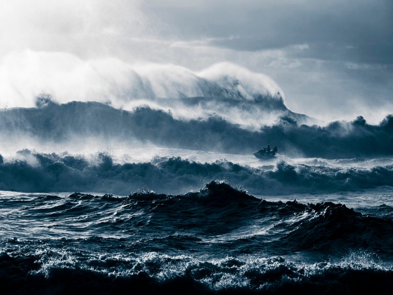Las increíbles imágenes finalistas del concurso ‘Fotógrafo del año del océano’ 2025