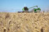 Se reavivan las preocupaciones sobre incrementos en los precios de los alimentos