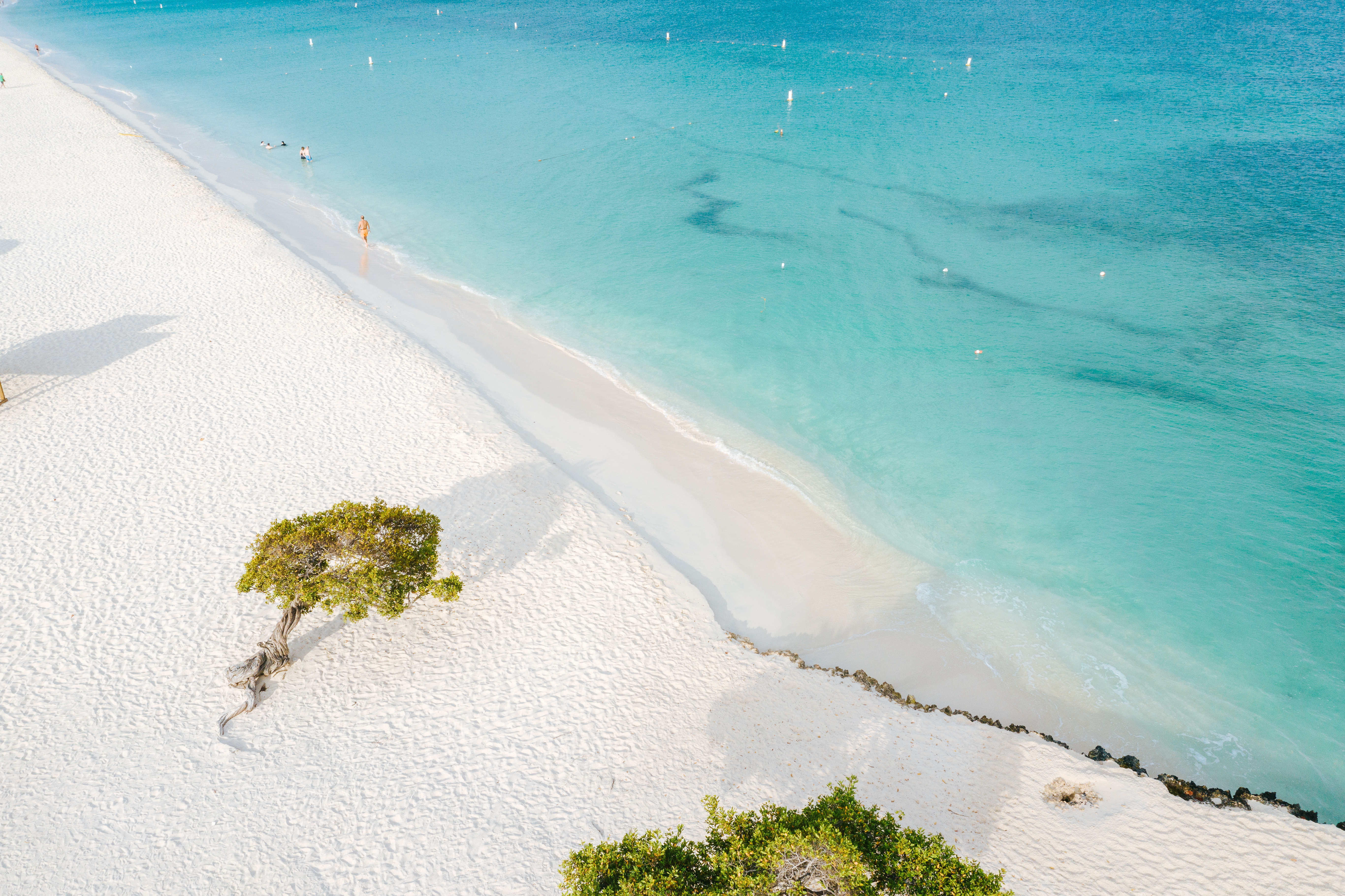 Eagle Beach es una de las playas más hermosas de Aruba.