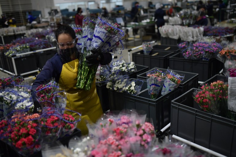 Agroindustria llevó a Cundinamarca a ser el tercer mayor exportador del país en 2025