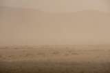 ¿Por qué el polvo del desierto del Sahara llega hasta el caribe colombiano?