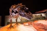 El Tiranosaurio Rex no era un dinosaurio con plumas, según un estudio