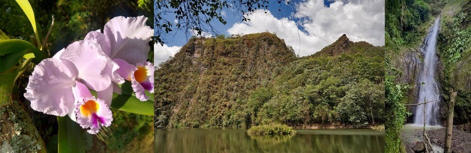 La vega, un paraíso de fauna y flora