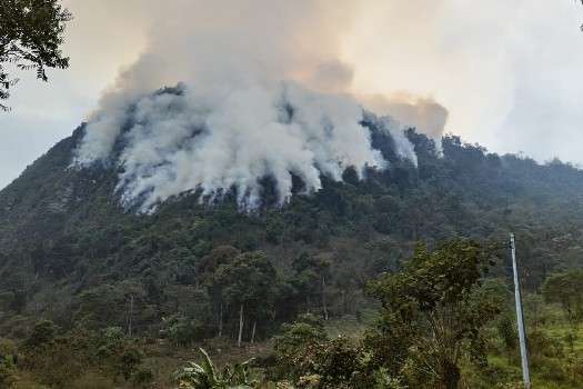 Así lucía la zona más afectada del incendio en Nemocón la mañana de este jueves 25 de enero. Las labores de mitigación completan tres días.