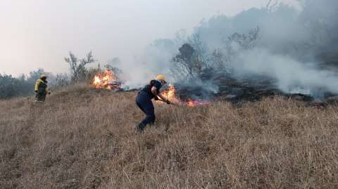 Se reporta incendio forestal en el Humedal Jaboque