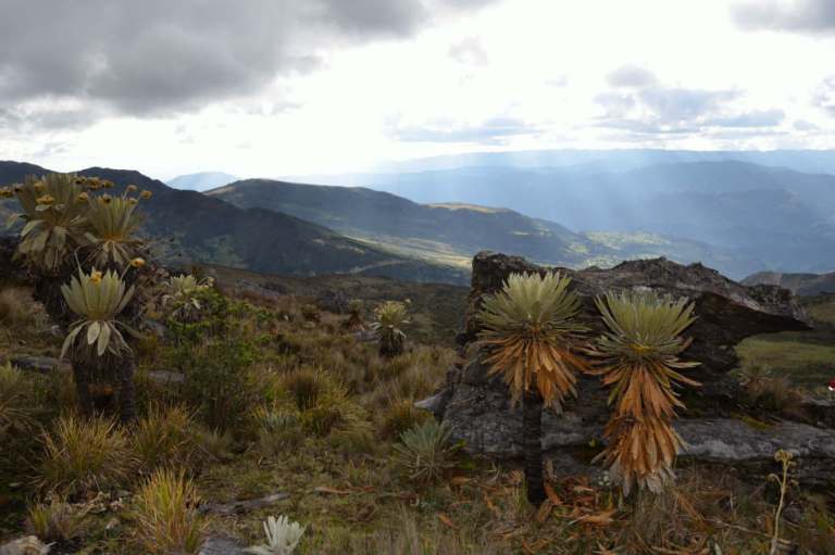 Gobierno delimita cuatro nuevos páramos y declara el río Bita como humedal Ramsar