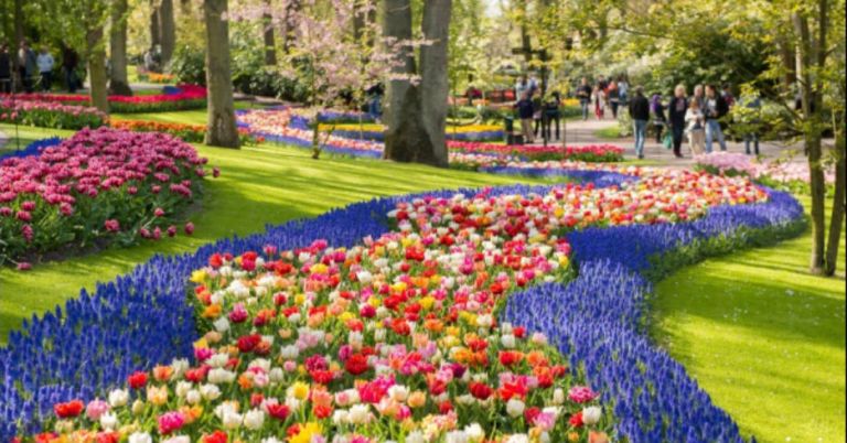 Keukenhof, el jardín de flores más grande y bello del mundo