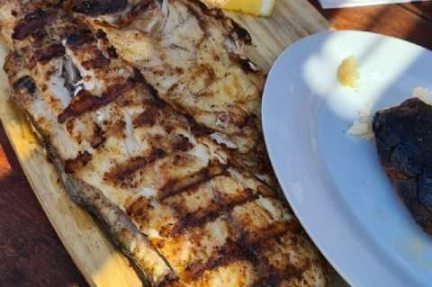 Receta para preparar pescado asado con salsa criolla cruda