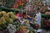 Familia preparada cuida su salud y su bolsillo