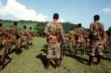 Piden responsabilidad del Estado en paramilitarismo
