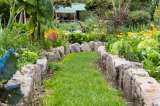 Libro de Jardinería Urbana de Bogotá será presentado este 20 de agosto